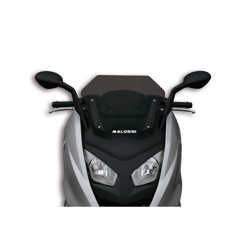 Pantalla MALOSSI Ahumada SPORT BMW C600 4515571B