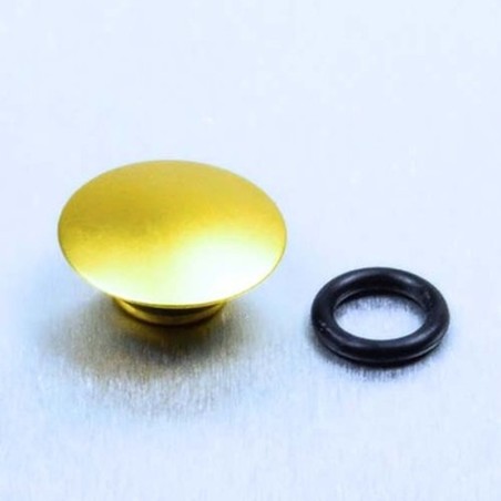Tapón tornillo de aluminio M6 Pro-Bolt LBUT6G Oro
