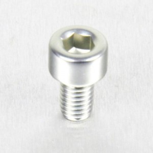 Tornillo de Aluminio Pro-bolt cabeza cilíndrica M5 x (0.8mm) x 8mm ...