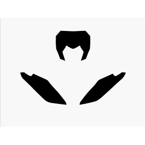 Juego adhesivos porta números BLACKBIRD negro Fantic XX