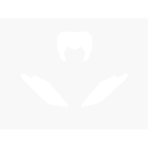 BLACKBIRD Plate Stickers White Fantic XE