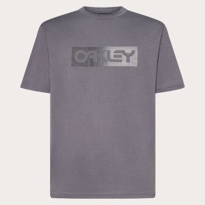 Camiseta OAKLEY Dual B1B Logo Tee - gris