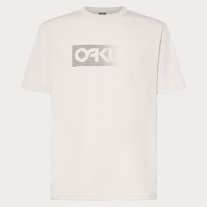 Camiseta OAKLEY Dual B1B Logo Tee - Lunar Rock