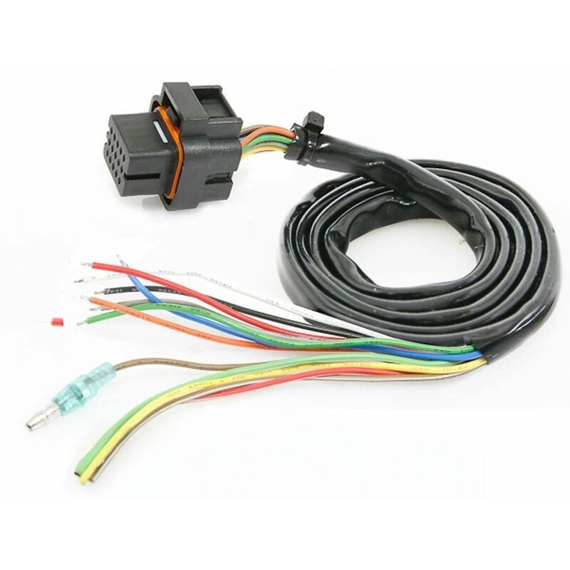 Cableado principal para KOSO DB01R  BO018000
