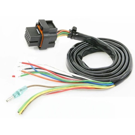 Cableado principal para KOSO DB01R  BO018000