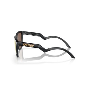 Gafas de Sol OAKLEY Frogskins™ Hybrid Lentes Prizm 24k Polarized