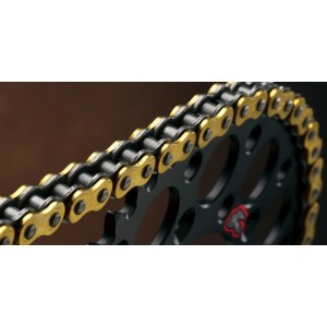 Cadena Renthal 428R1 con 116 eslabones negro/oro