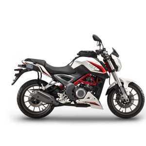 Fijaciones SHAD 3P System BENELLI BN 302 '15