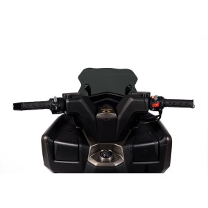 Cúpula MALOSSI Sport - Ahumado oscuro