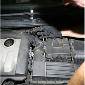 Juego BETA de 2 pinzas moleteadas dobles, muy largas y semirredonda...