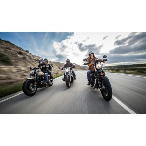 Neumático MICHELIN SCORCHER 11 (HARLEY-D) 130/60 B 21 M/C 63H TL