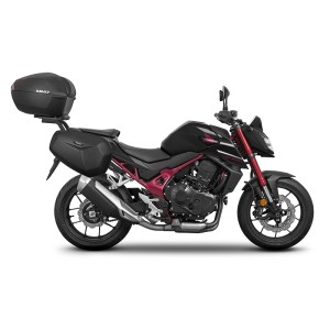 Fijación SHAD Top Master