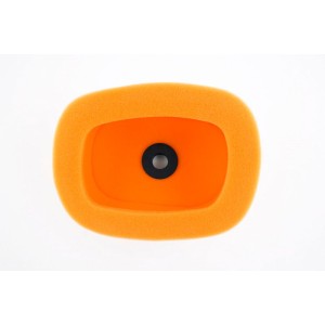 Filtro de aire TWIN AIR - 153053