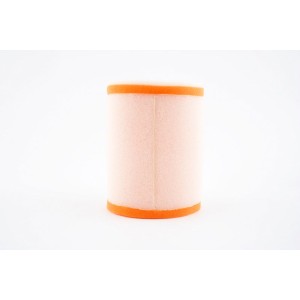 Filtro de aire TWIN AIR - 153908