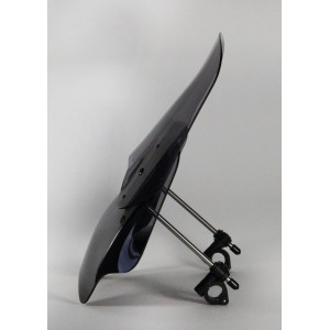 Pantalla MRA Vario tipo VNB-A Naked transparente BMW R1200R