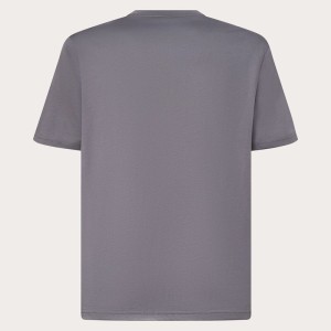 Camiseta OAKLEY Dual B1B Logo Tee - gris