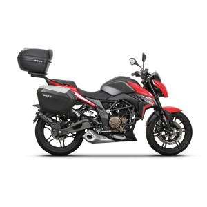 Fijación Top master SHAD