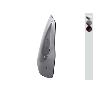 Pantalla MRA Street negro BMW R1200R