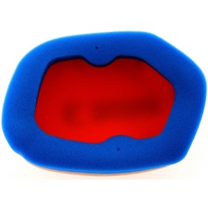 Filtro de aire TECNIUM 2 capas