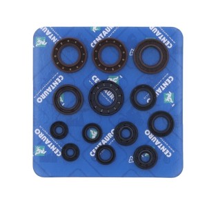 Kit de retenes de motor CENTAURO