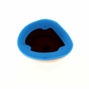 Filtro de aire TECNIUM - 5813