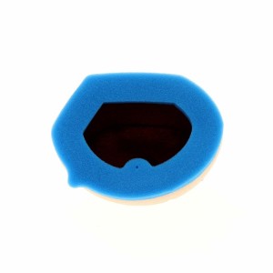 Filtro de aire TECNIUM - 5436