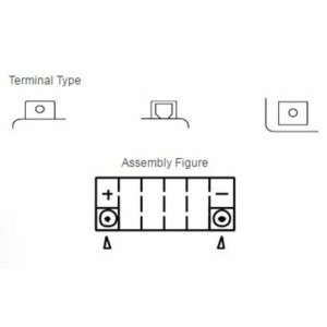 Batería YUASA YTX12-BS Combipack (con electrolito)