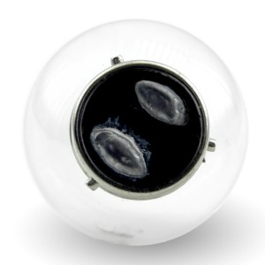 Lámpara V PARTS G40 BA21D 6V 45 / 40W Blanca