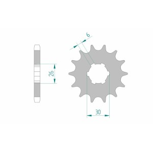 Piñón AFAM acero estándar 21600 - Paso 530