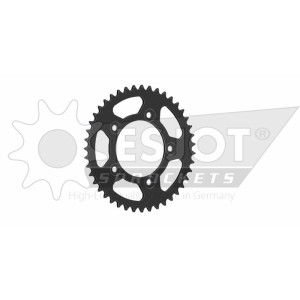 Corona ESJOT acero 50-32152 43 dientes