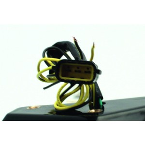 Piloto trasero BIHR LED con intermitentes integrados Triumph SPEED ...