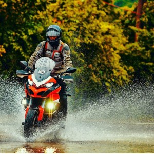 Kit de montaje paramanos Barkbusters Fijación de doble anclaje Colo...